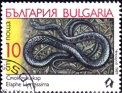 20240318_0006.jpg
