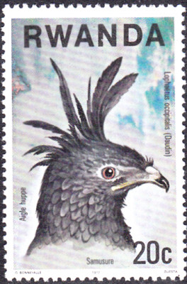 20240328_0010.jpg