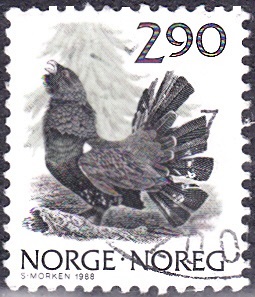 20240328_0006.jpg