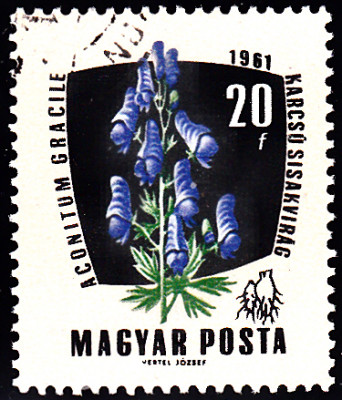 20240403_0007.jpg