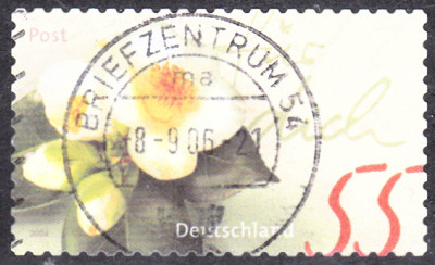 20240409.jpg