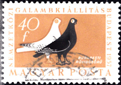 20240409_0028.jpg