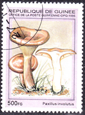 20240422_0008.jpg