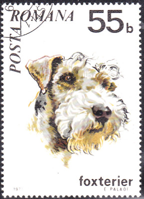 20240425_0004.jpg