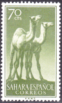 20240428_0005.jpg