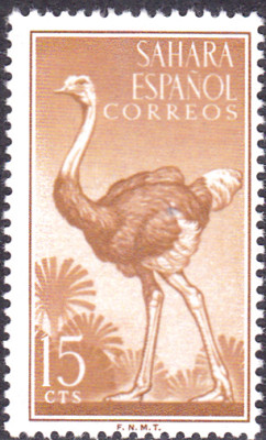 20240428_0008.jpg