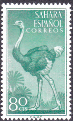 20240428_0009.jpg