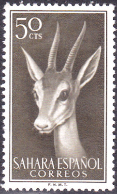 20240428_0006.jpg