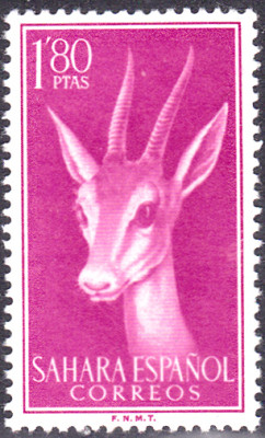20240428_0007.jpg