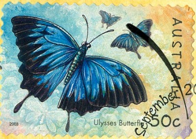 Australien-Insekten-2003-2.jpg