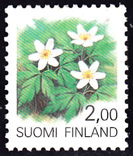 202406003_0004.jpg