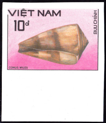 20240703_0001.jpg