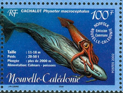 Neu Kaledonien 2002 - 2.jpg