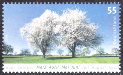 20240718_0008.jpg