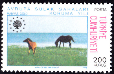 20240722_0004.jpg