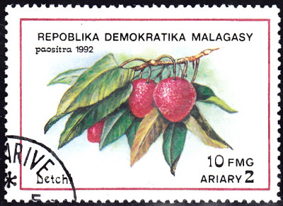 20240726_0003.jpg