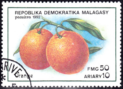 20240726_0004.jpg