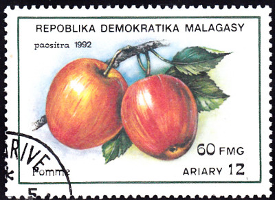 20240726_0005.jpg