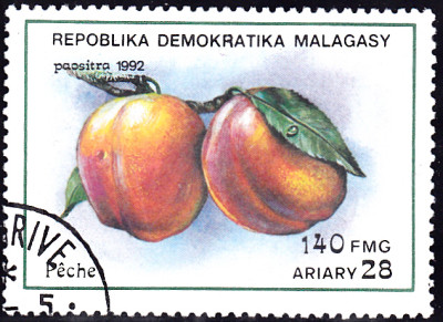 20240726_0006.jpg