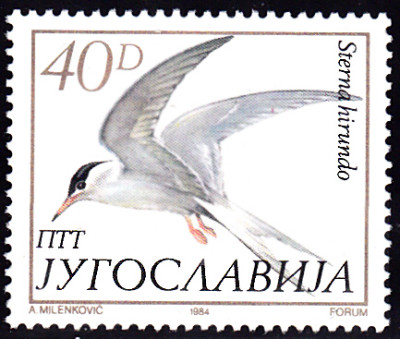 20240803_0009.jpg