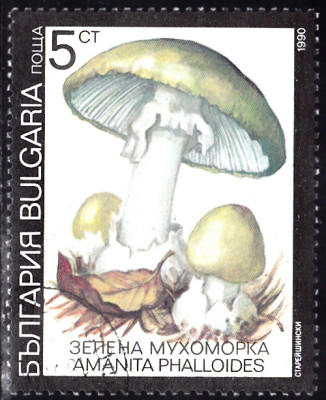 20240807.jpg