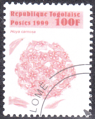 20240809.jpg