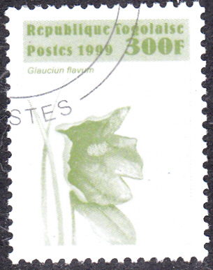 20240809_0006.jpg