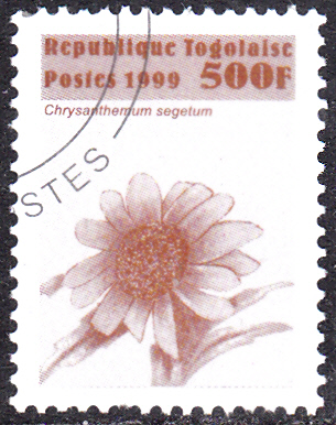 20240809_0007.jpg