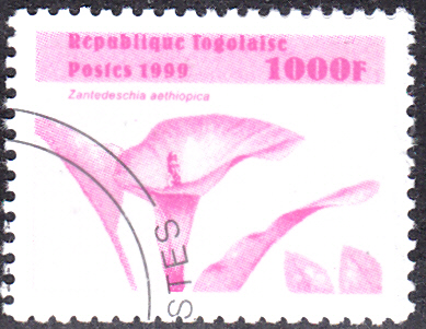 20240809_0008.jpg