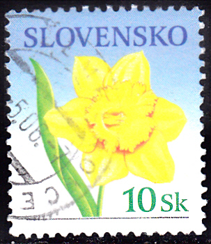 20240818_0008.jpg