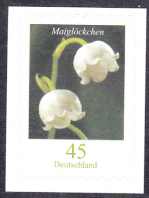 20240409_0007.jpg