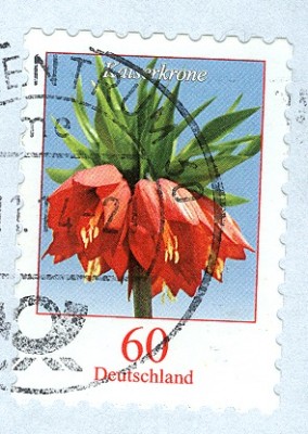 roteKaiserKrone.jpg
