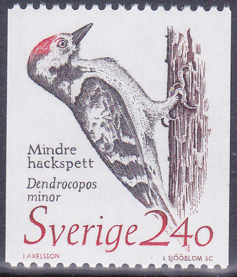 20240926_0003.jpg