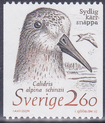 20240926_0004.jpg