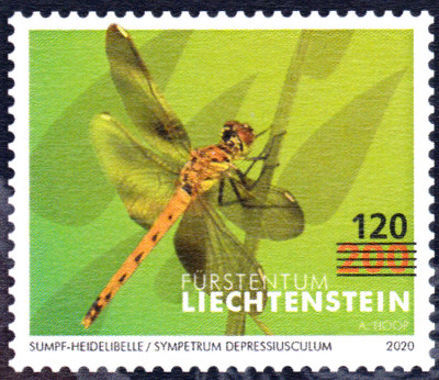 20240503_0008.jpg