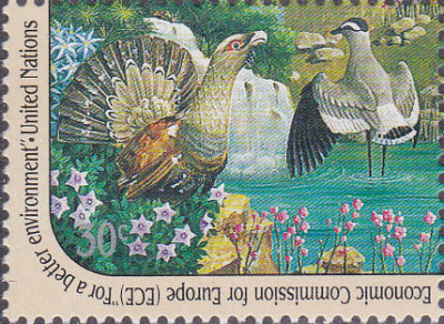 20241006_0012.jpg
