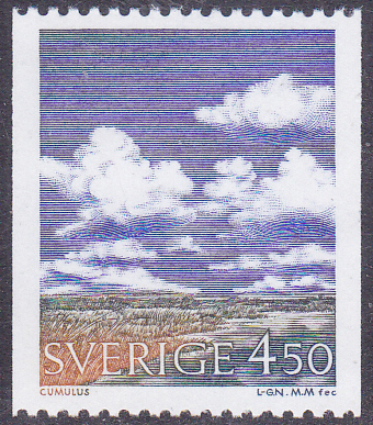 20241006.jpg