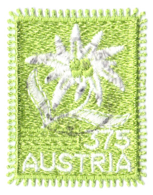 005.jpg