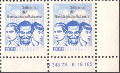 006.jpg