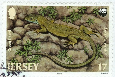 Jersey-MB-4.jpg