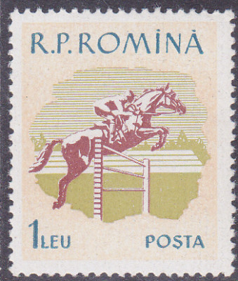20241029_0015.jpg