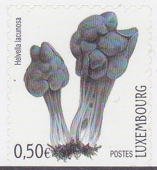 20241028_0004.jpg
