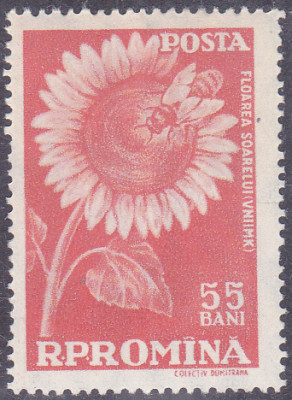 20241029_0013.jpg