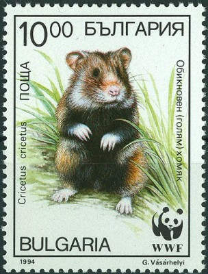 Bulgarien 1994 Feldhamster - 1.jpg