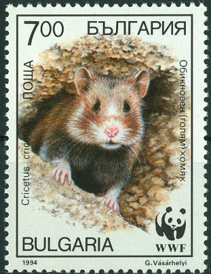 Bulgarien 1994 Feldhamster - 3.jpg