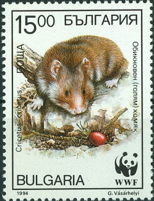 Bulgarien 1994 Feldhamster - 2.jpg