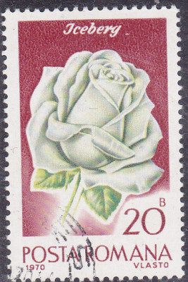 20241118_0006.jpg