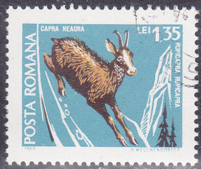 20241124_0002.jpg