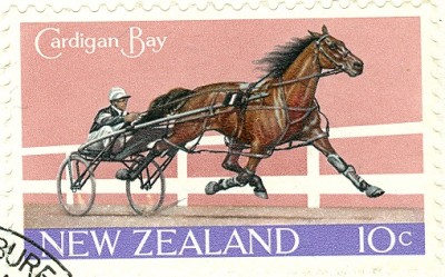 Neuseeland cardigan Bay -1.jpg