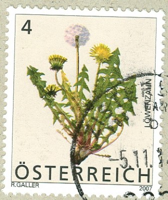 Ösi Löwenzahn 2007.jpg